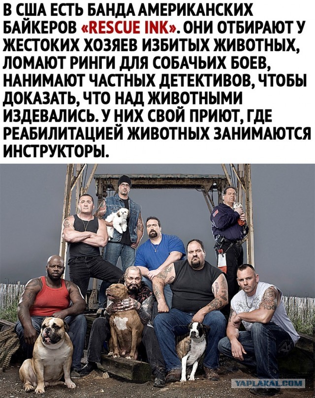 Чуток картинок 09.06.20