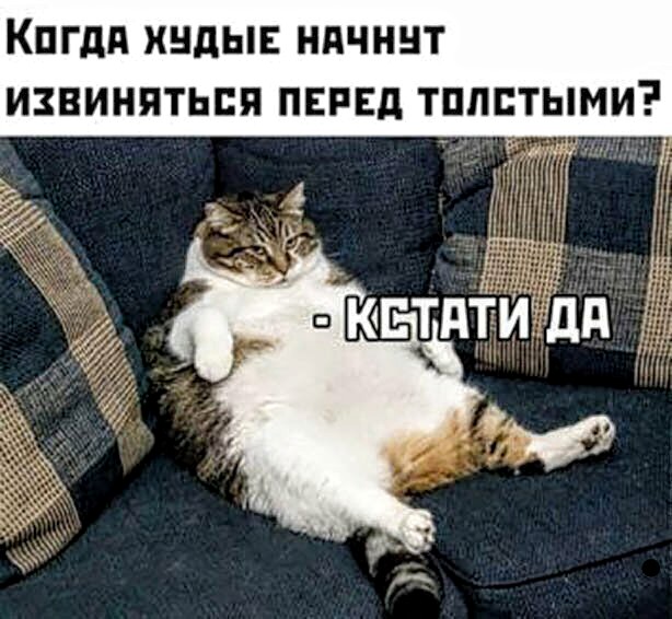 Немного картинок для настроения 20.06.20
