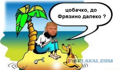 Фотожаба: Шарик