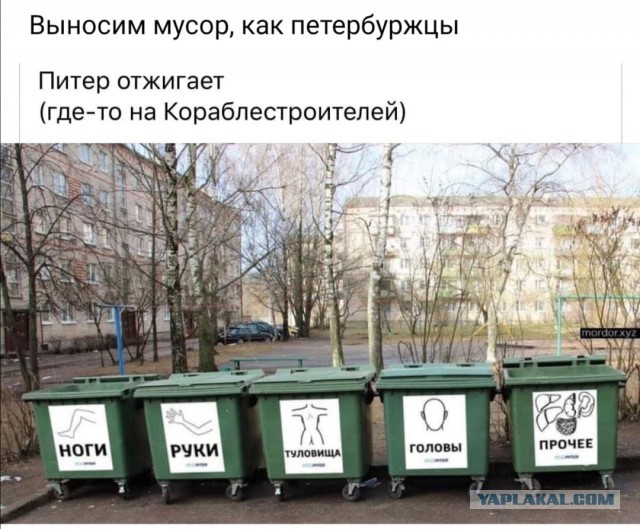 Немного картинок для настроения 22.10.20