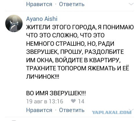 В Улан-Удэ собаки напали на ребенка