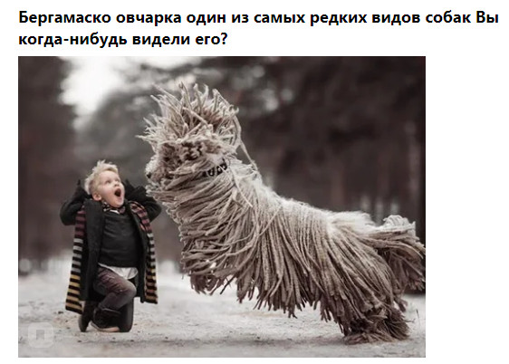 Фото-винегрет-2. Картинки ниапчём и обо всём
