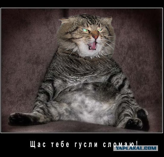 Ссыкливый бульдожек