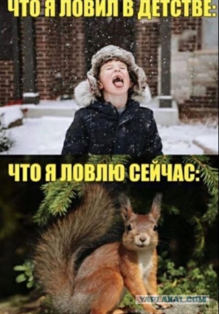 Бредзона 30.03.21