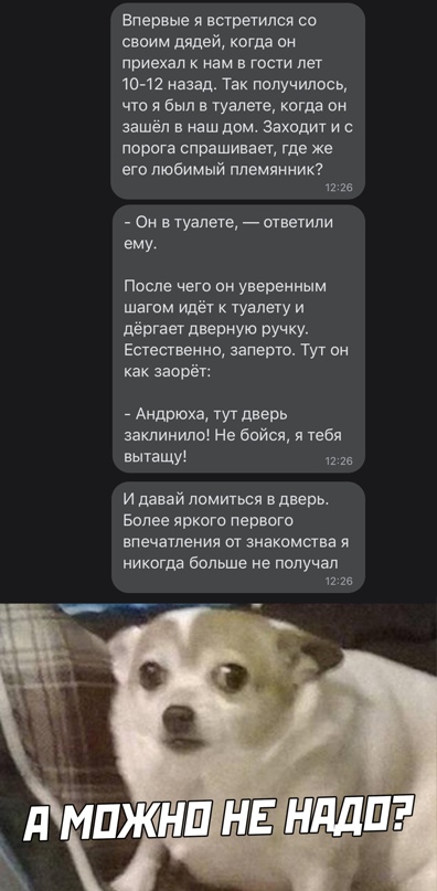 Весёлый полтишок 5.04