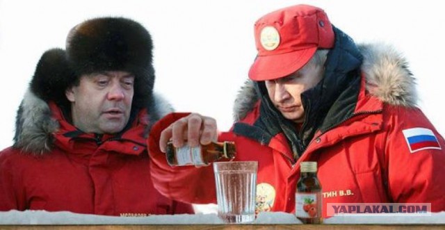 Насохранял