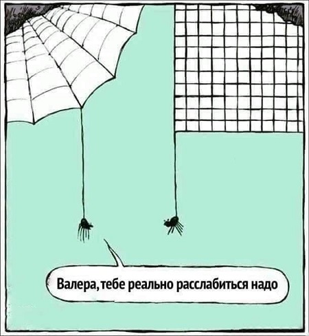 Баянисто-небаянистый юмор 14.05.21