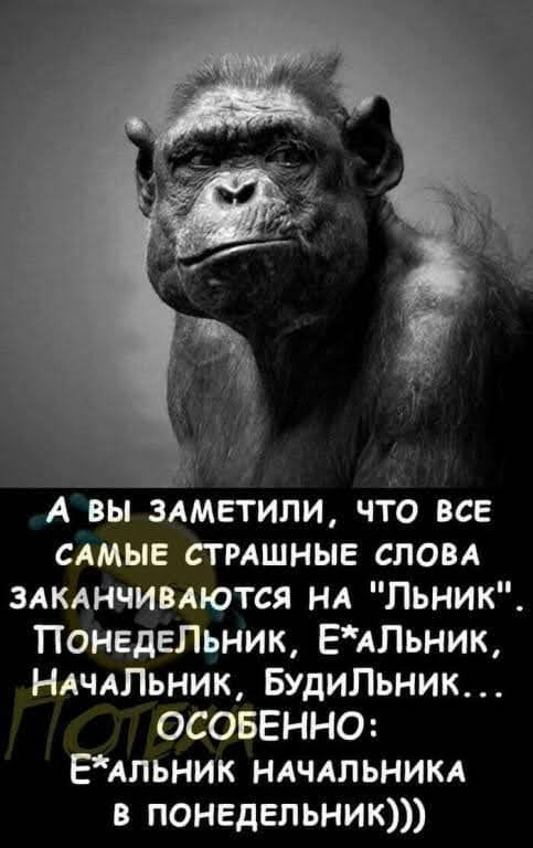 Картинки на понедельник 21.06.2021