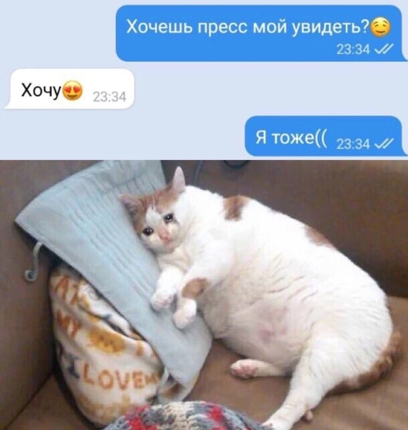 Картинки из рабочего чата 03.09.2021