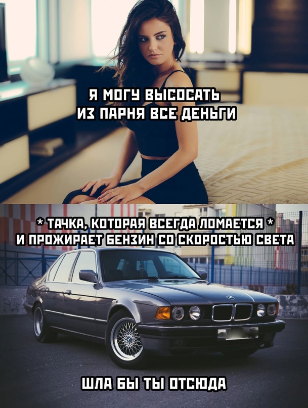 15997602.jpg