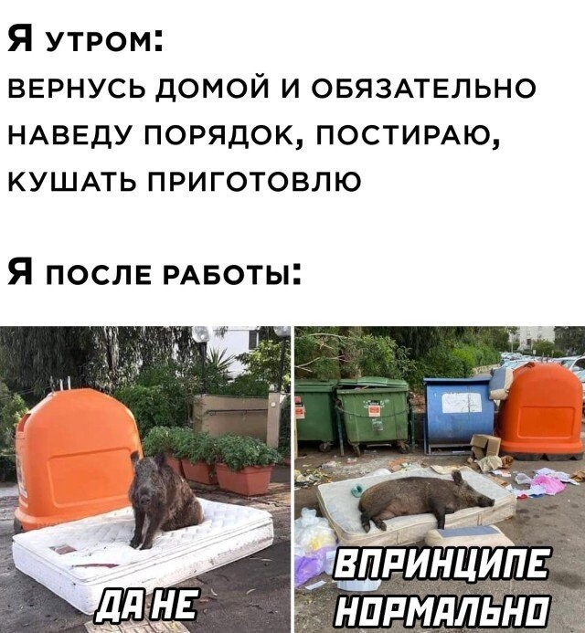 Баянисто-небаянистый юмор 10.10.21