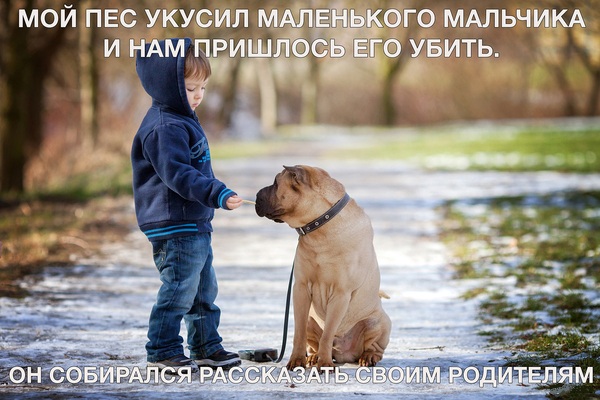 Чёрный четверг для деградантов