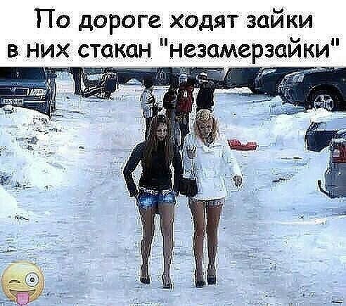 Весёлый полтишок 24.01