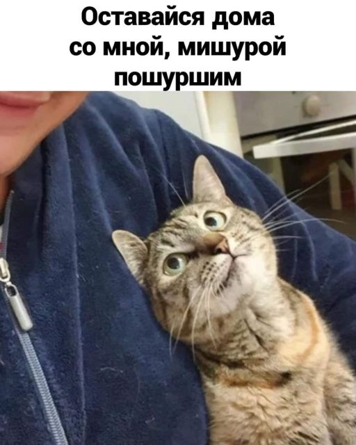 Картинки и буквы 15.07.22