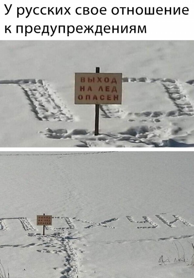 Весёлый полтишок 01.04