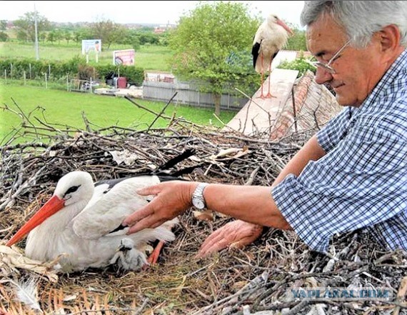 Прекрасная история, длиною в 16 лет
