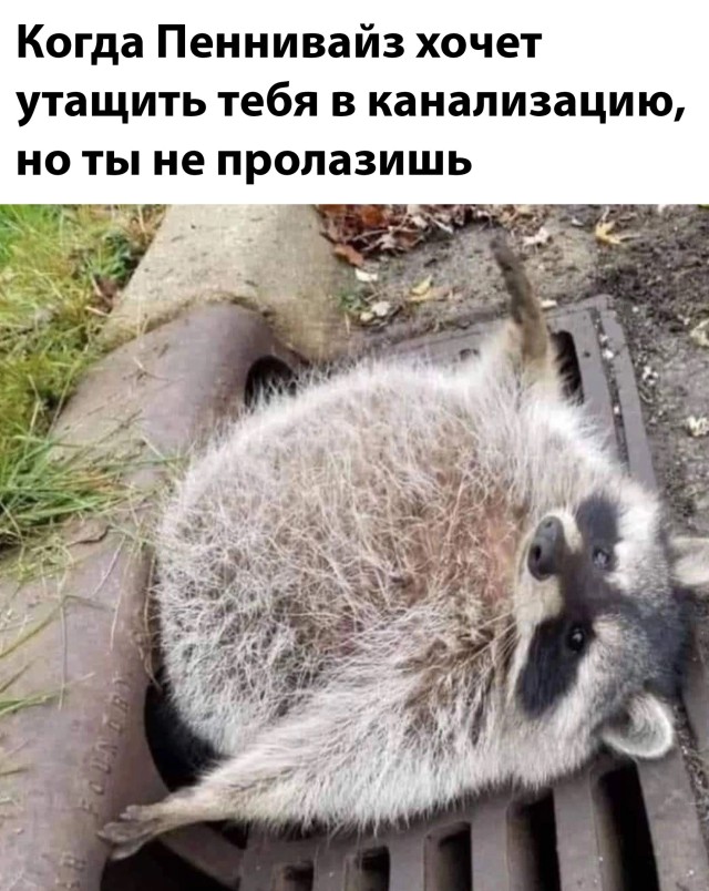 Так себе картинки 19.05.22