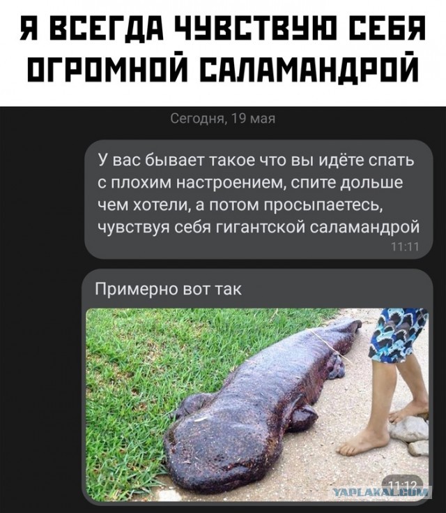 Картинки и мемы для настроения - 21