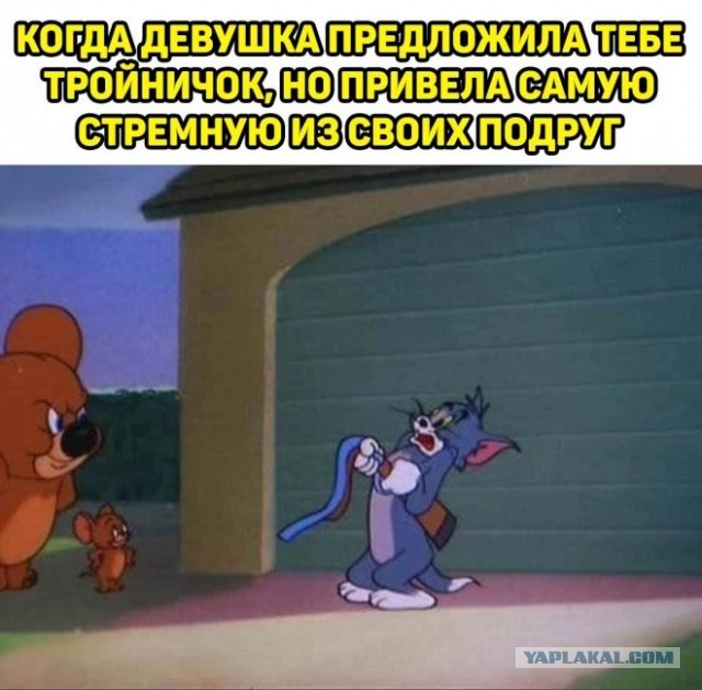 Картинки и мемы для настроения - 29