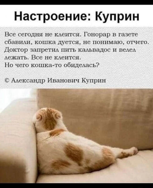Так себе картинки 13.10.22