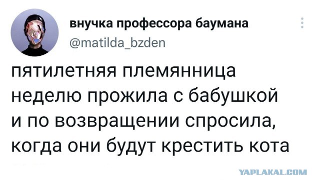 Твитота