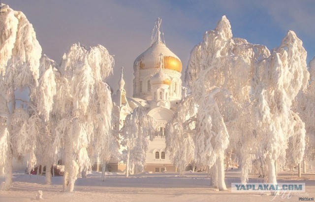 Прикольные и просто красивые картинки 23.12.2022