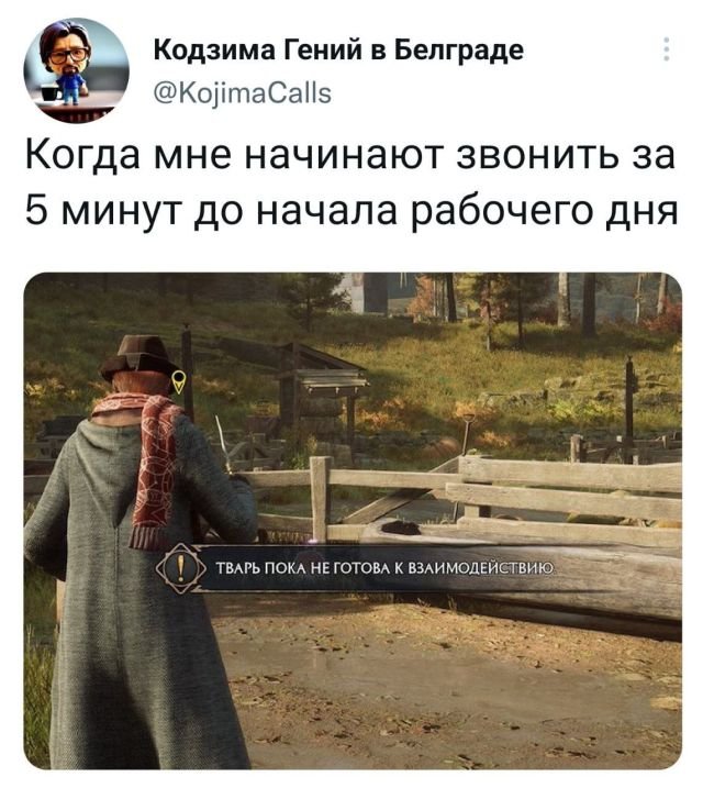 Картинки и мемы, всем хороших выходных