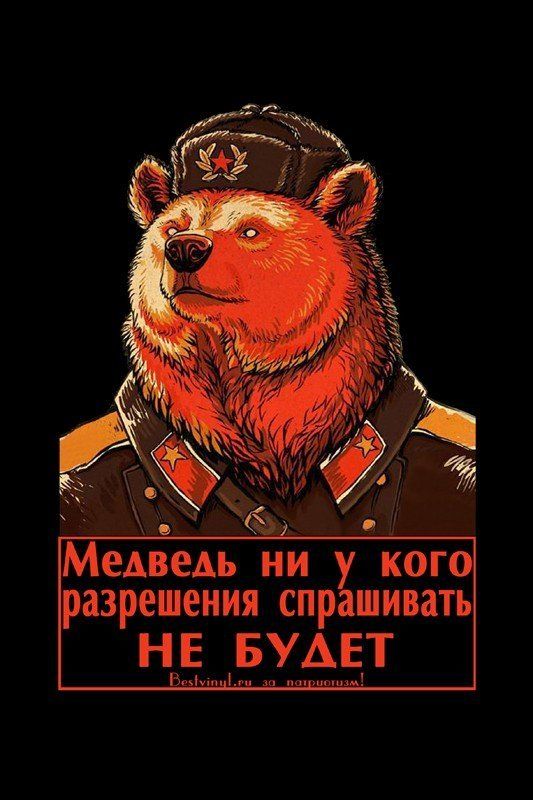 Прикольные и просто красивые картинки 23.02.2023