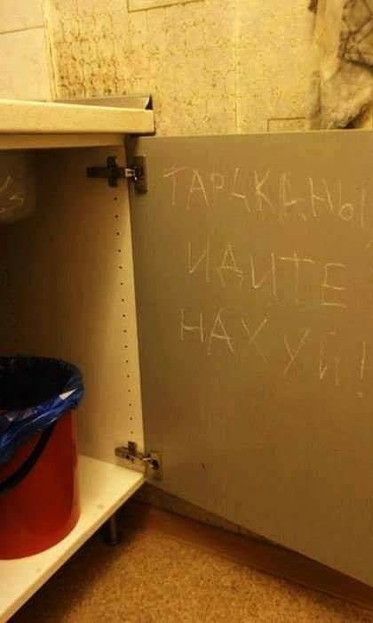 Тараканы в доме