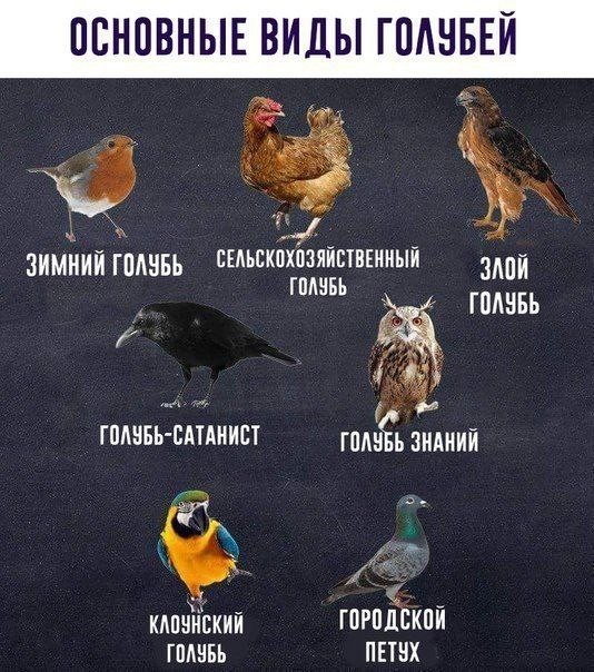 Всего понемногу. От 25.03.
