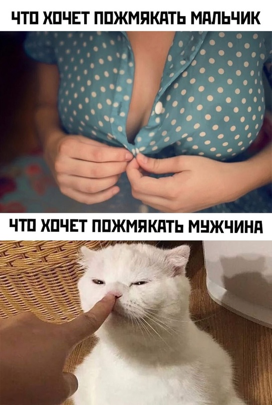 Картинки и мемы для настроения - 181
