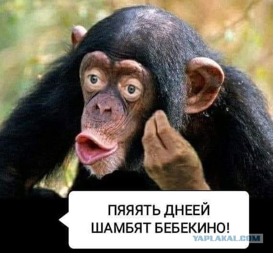 Белгородцы просят губернатора объявить режим ЧС в Шебекино, чтобы его жителям помогли с арендой. Он игнорирует эти просьбы