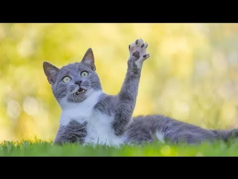 Ну и заморочился