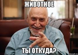 Игорь Стрелков арестован на два месяца. Он проведет в СИЗО до 18 сентября