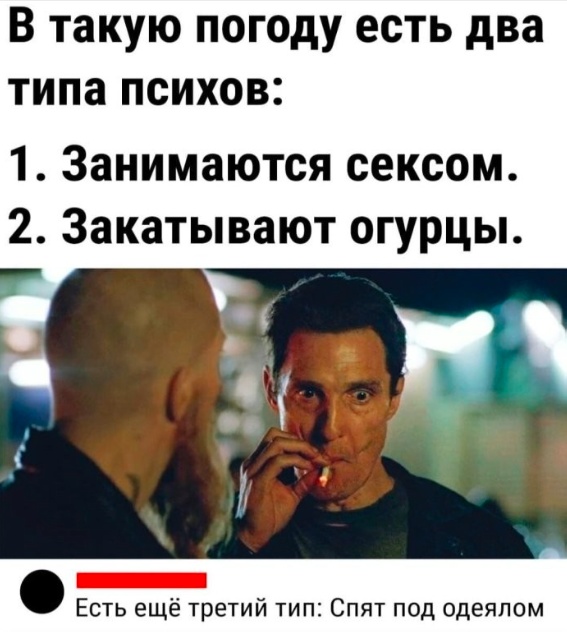 Весёлый полтишок 23.07.23