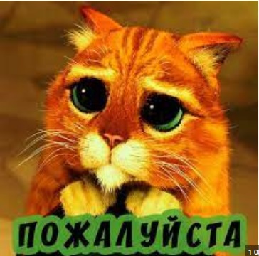 Белгород, мы с тобой