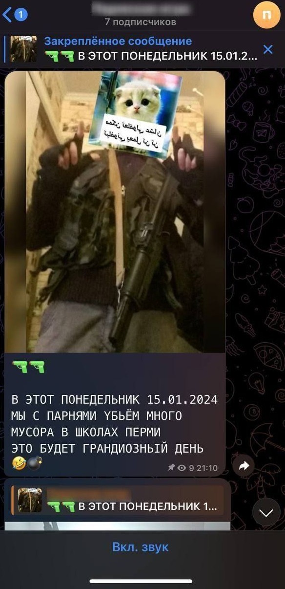 Ребенок прислал из школы ссылку на ТГ канал, в котором готовится теракт