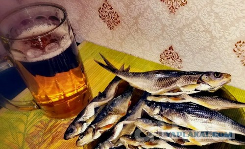 Жареный елец от Панда Саха