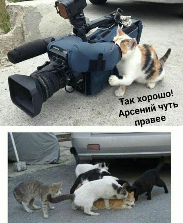 Так себе картинки 26.04.24