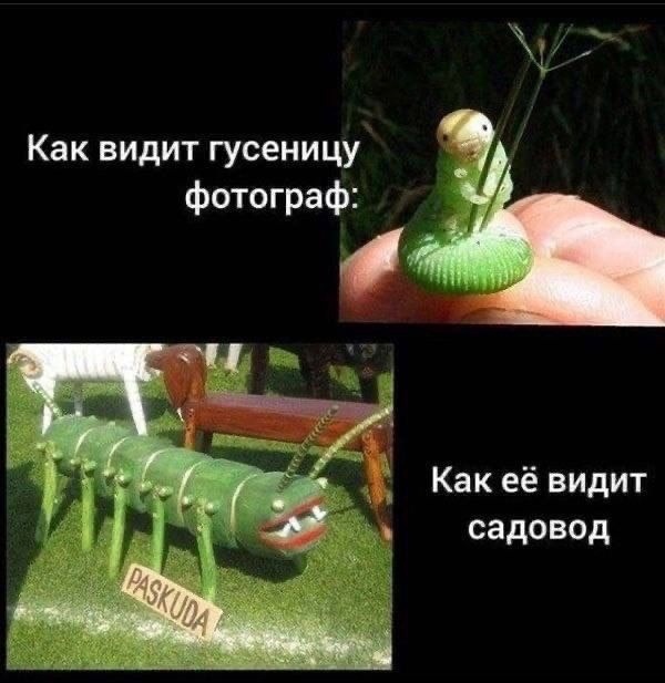 Так себе картинки 24.05.24