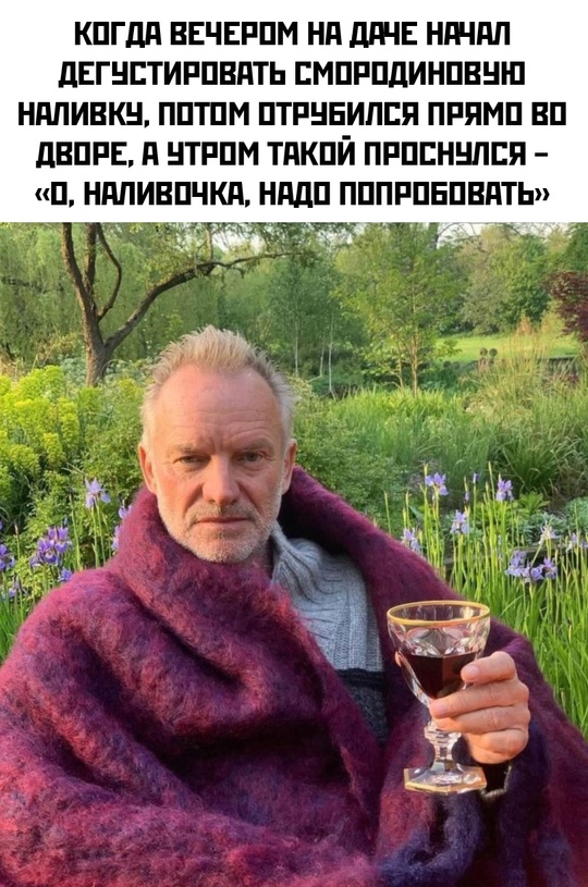 Весёлый полтишок 02.07.24