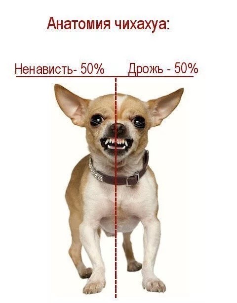 Вы это видели?