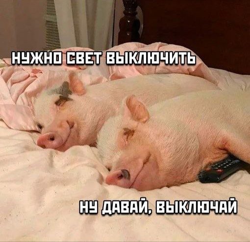 Всего понемногу. От 20.10