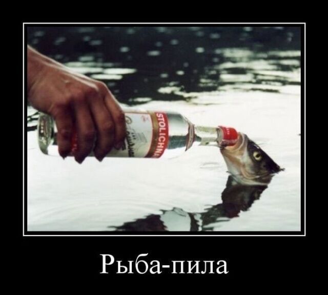 По данным комитета Госдумы по обороне, кабели между Финляндией и Германией перерезала рыба-пила