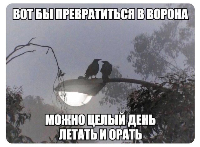 Всего понемногу. От 10.01.2025