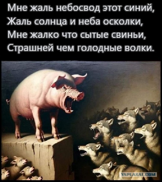 В Госдуме призвали готовиться к регулярным отключениям интернета ради безопасности