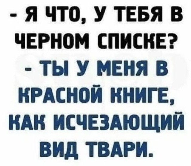 Сеня, дичь!