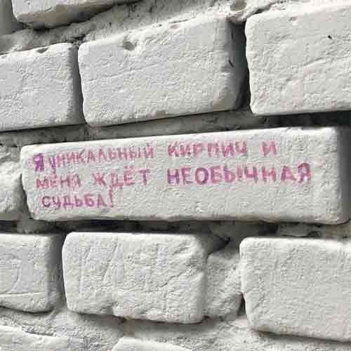 20178602.jpg