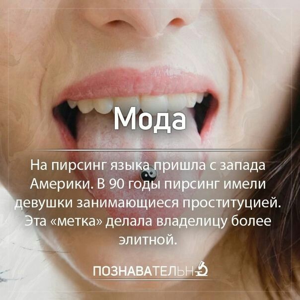 Куча сала 9