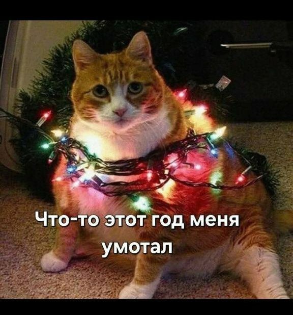 Субботние картинки